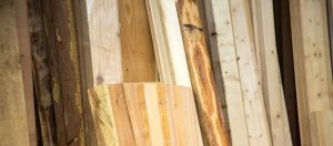 Holz